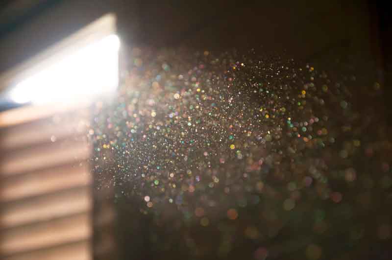 Indoor Air Quality In The Fall: Managing Allergies As The Windows Close